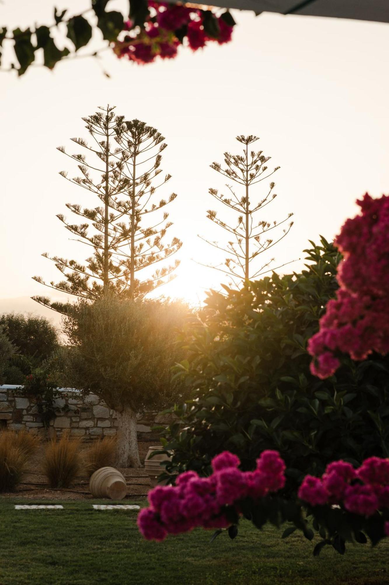 White Dunes Luxury Boutique Hotel ซานตา มาเรีย ภายนอก รูปภาพ